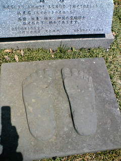 654e5f43.jpg
