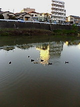 0226d19e.jpg
