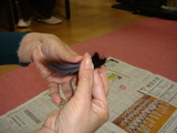 断髪、切った髪