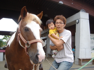 阿蘇 マザー牧場 なま馬