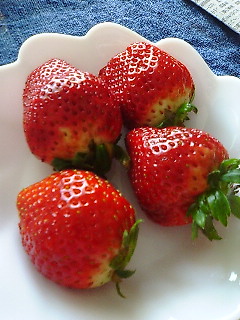 おばけいちご