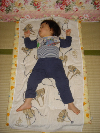 ガクのお昼寝