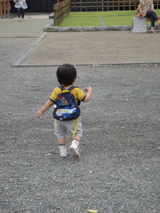 熊本城 歩き回る