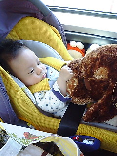 ワンちゃんと仲良し