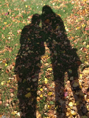 写真 2017-10-27 12 10 24m