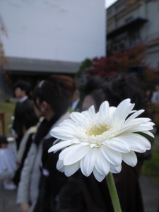 _RIM0270