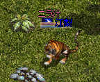 575ac049.bmp