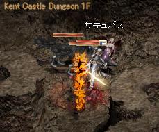 89582fdc.jpg