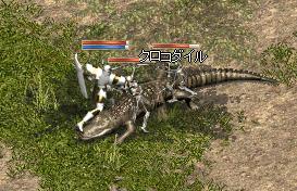 8f7efc7b.jpg