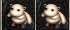 b2b6e574.bmp