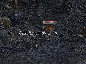 カボイベント