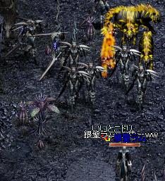 f4f2fbb1.jpg