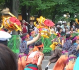 yosakoi