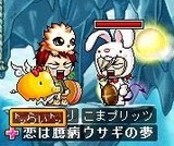 こまcと再会