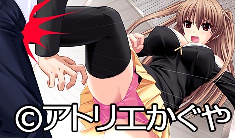 綾部 みゆき(あやべ みゆき)