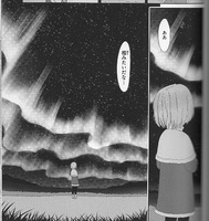 FlowersBloomAllOverTheWorld3