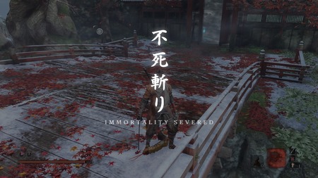 SEKIRO™: SHADOWS DIE TWICE_20190417052726
