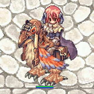 3日でクルセ!