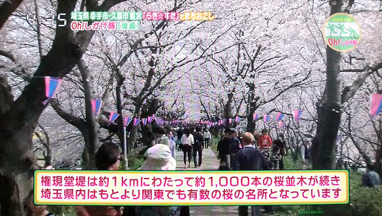 あなたの街Oh!しかけ隊 幸手権現堂の紹介