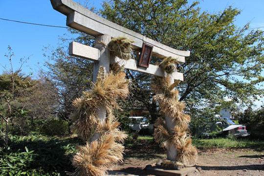 大輪神社の秋季祭「ワラの大蛇」13