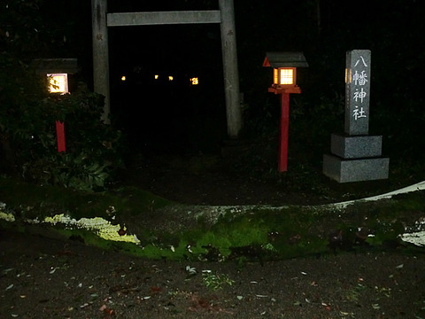 鷲宮神社台風被害 境内の八幡神社前