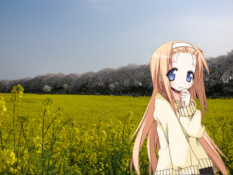 あやのと菜の花 幸手権現堂