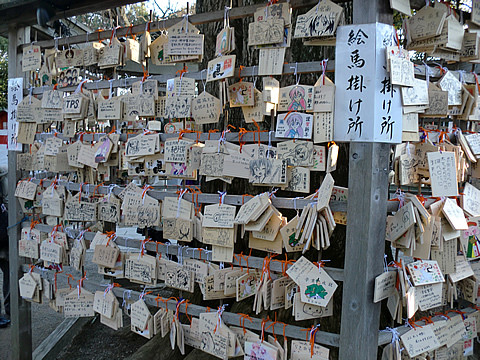 鷲宮神社の絵馬掛け所