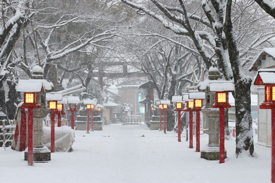 雪の鷲宮神社境内参道