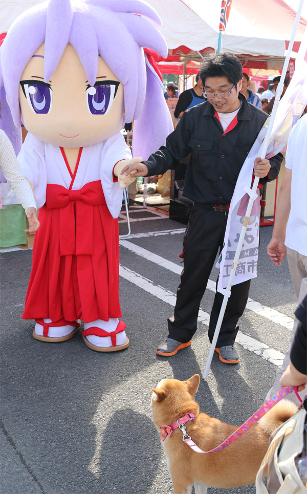 わしのみやコスモスフェスタ2014 犬も見るかがみん