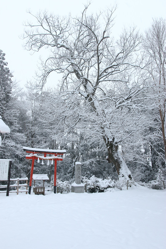 雪の鷲宮神社 光天之池