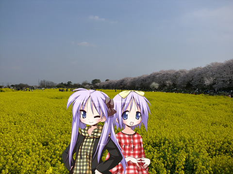 かがみとつかさで記念写真 幸手権現堂