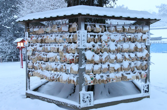 雪の鷲宮神社 雪化粧の絵馬