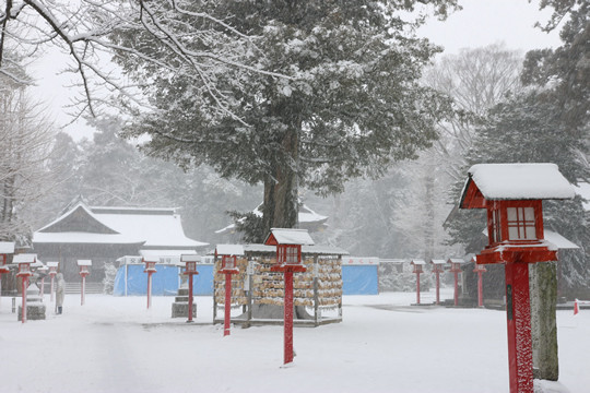 雪の鷲宮神社 絵馬掛け所付近