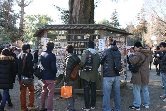 2014年元旦の鷲宮神社境内絵馬掛け所2