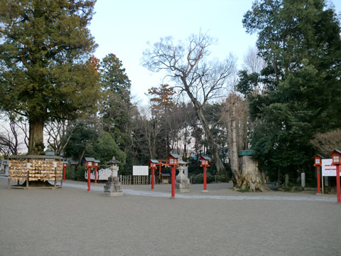 地震後の鷲宮神社境内