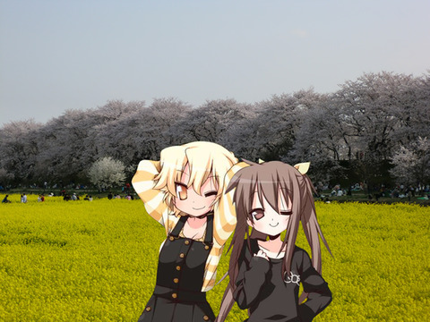 やまこう 幸手権現堂
