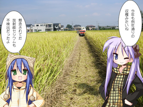 鷲宮の稲刈り