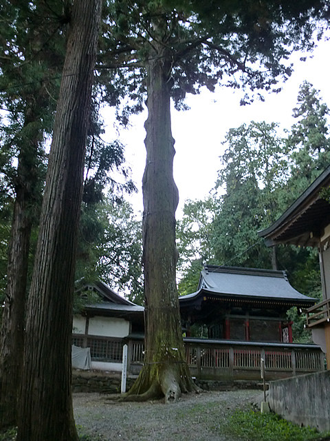 ヨスガノソラ聖地背景 樺崎八幡宮内