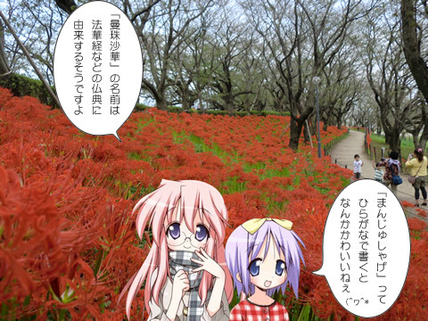 曼珠沙華の由来