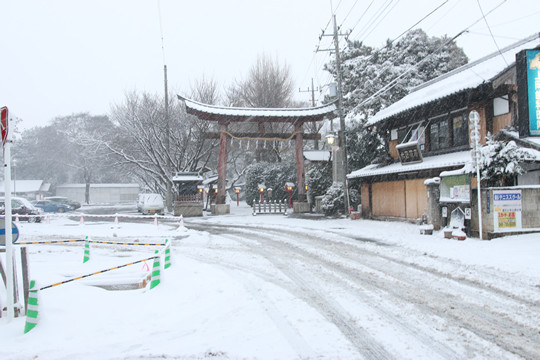 雪の鷲宮神社 鳥居前