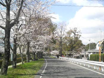 2010032912560000