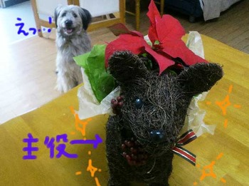 junxmas