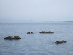 海の風景