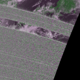 W080717pc