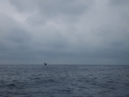 DSCF0494