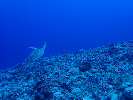 PC080864