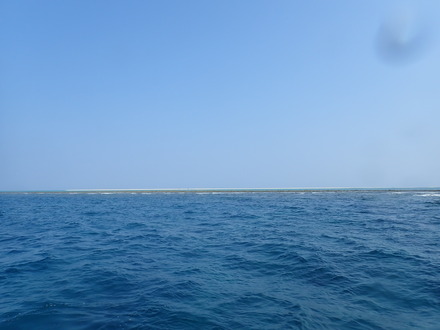 P5122028
