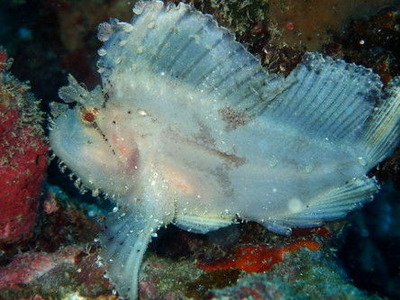 P9260059