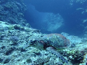 DSCF9214