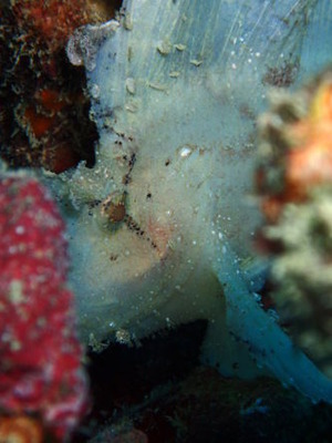 P9260057
